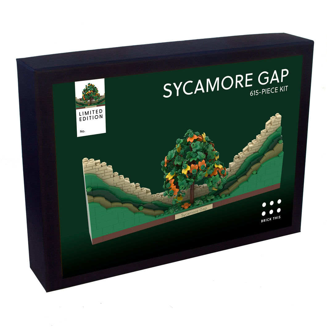 Sycamore Gap LEGO kit